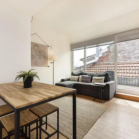 Pet-friendly In Apartment Porto